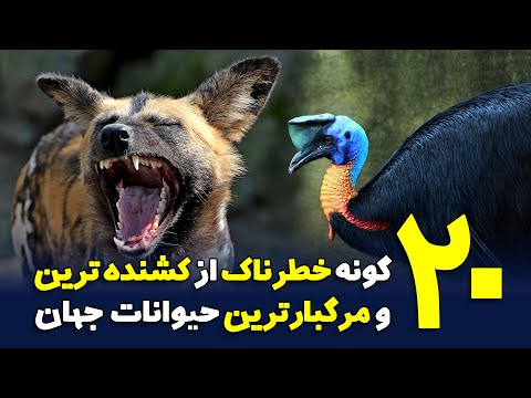 20 گونه خطرناک از کشنده ترین و مرگبارترین حیوانات جهان