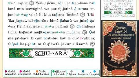 ختمة من مصحف التجويد باللغة الألمانية الصفحة رقم 366