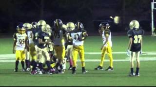 Brooklyn Panthers vs Queens Falcons Pee Wees (11-12yrs old) 10/4/14