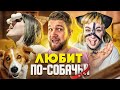 ОДЕРЖИМАЯ ДЕВУШКА СТАЛА СОБАКОЙ