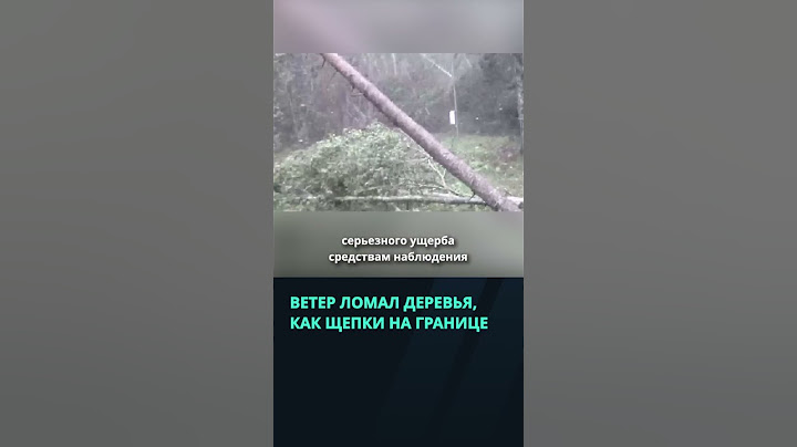 Ветер валил деревья на беларусско литовской границе  #беларусь #новости #ураган  #литва
