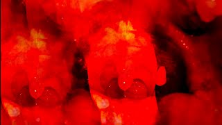 Kahlt - Placenta (Official Music Video - Remastered)