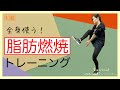 plenty - 人間そっくり【有酸素運動】在宅トレーニング【HOT SLIM】音workout # 240