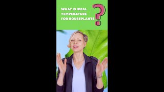 🌡 What is the ideal temperature for houseplants? #shorts