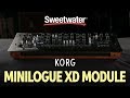 Korg Minilogue XD 4-voice Analog Synthesizer Module Demo by Daniel Fisher