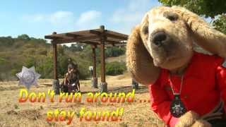 [ARCHIVE] Simon Says: Hiking Safety - San Diego County Sheriff's Department