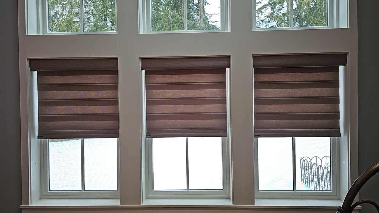 Norman Window Fashions Motorized/Automated Perfect Sheer Shades