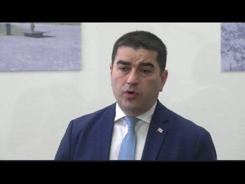 \"იქმნება ყალბი წარმოდგენები, თითქოს საქართველოს რუსეთთან რაიმე გვერდით მოლაპარაკებებში არის ჩართული\"