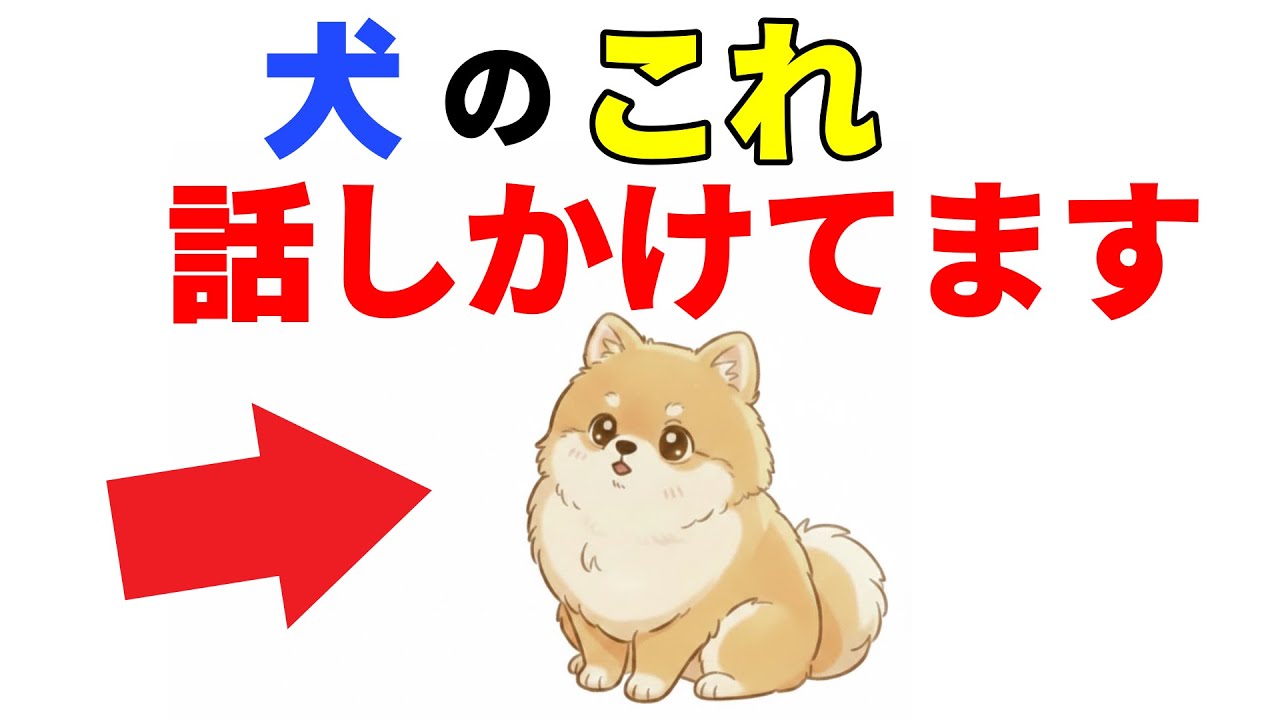 【犬の雑学】犬のこれ、話しかけています。ほとんどの人が気づかない犬の“本音”