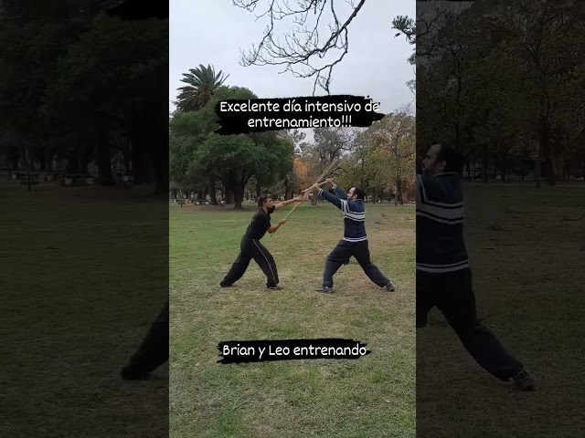 Rutina en pareja ((taolu y toi cha) con palo largo