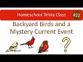 Homeschool trivia class 22 backyard birds and a mystery current event