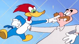 Woody makes a deal with Wally + More Episodes | Woody Woodpecker