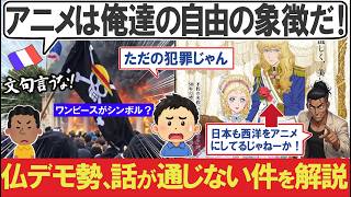 「ルフィだって政府と戦ってる！」←「ルフィは一般人に危害を加えない！そんなことにアニメを使うな」フランスのデモで分かったアニメの認識のズレを解説【海外の反応】