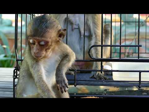 Update Lori Amari Lost Conscious And Not Recognize Her Baby Lori Update Lori Amari Lost Conscious And Not Recognize Her Baby Lori