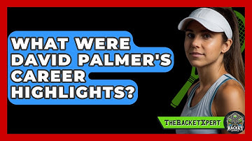 What Were David Palmer