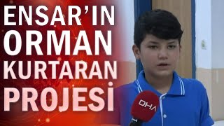 'Kuş kafesi' ormanları kurtaracak