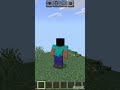 Minecraft interesting fact