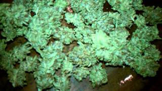 NatGeo: Organic Adventures