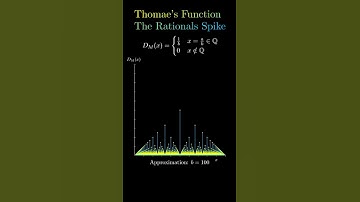 Thomae’s Function - The Rationals Spike #maths #math #physics