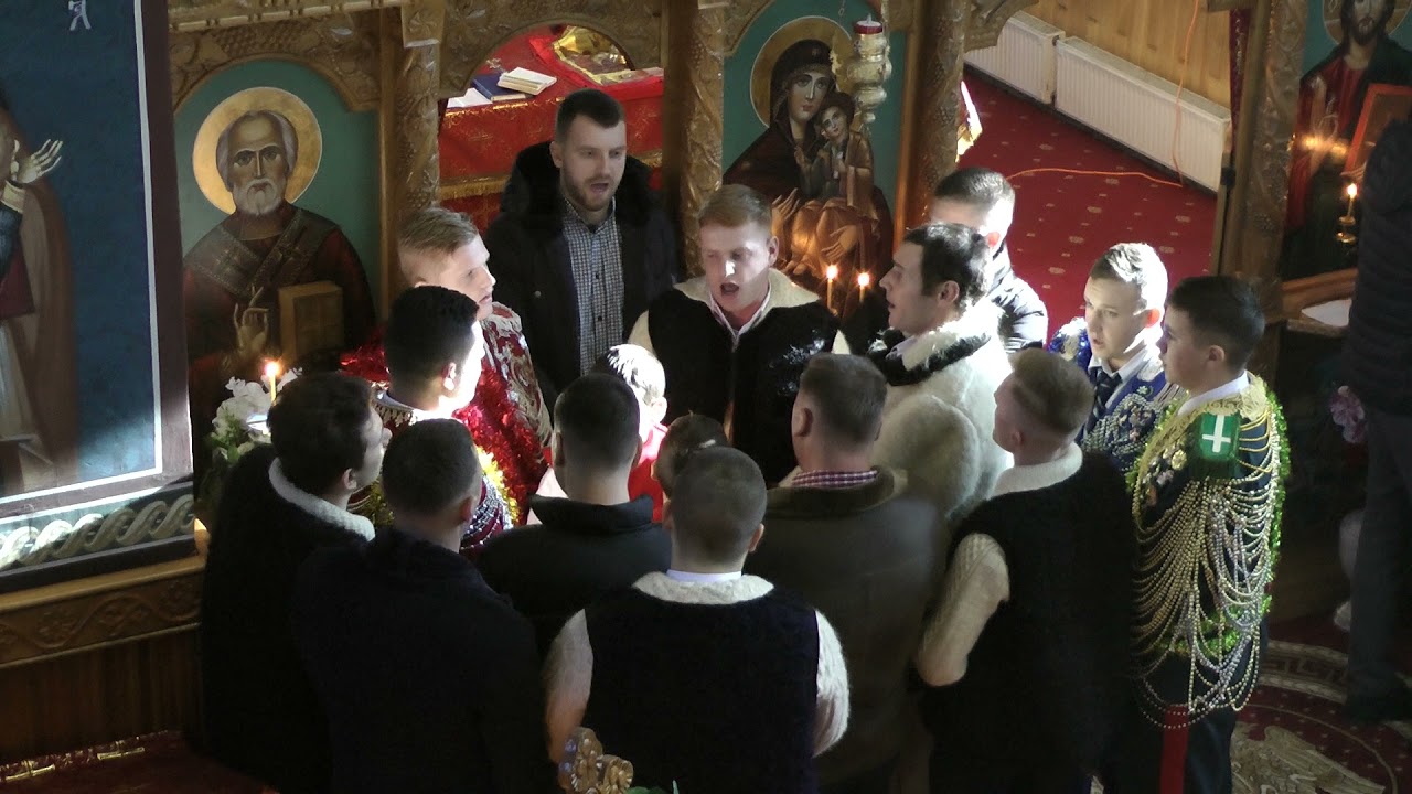 VIFLAIMUL DIN BISTRA -2022