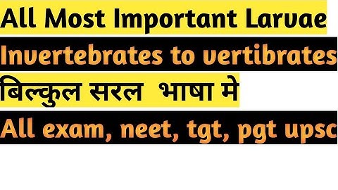 All Most Important Larvae, invertebrates to vertibrates, सभी लरवा