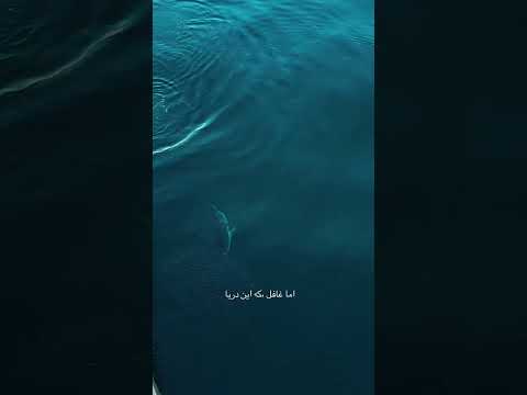 دل به دریا زده بودوم آهنگ قفلی موزیک   