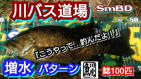 スモールマウスバス 釣り方 Mp3 スモールマウスバス 釣り方 Mp3