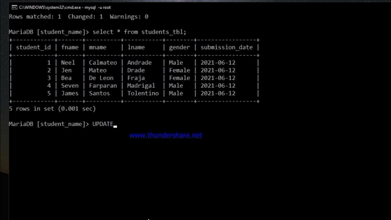 Update Queries from MySQL Database using Command Prompt - YouTube