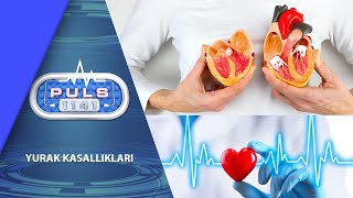 YURAK KASALLIKLARI YURAK KASALLIKLARI