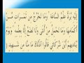 القران الكريم سورة فصلت الأية 47 Wmv القران الكريم سورة فصلت الأية 47 Wmv