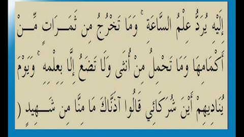 القران الكريم سورة فصلت الأية 47.wmv