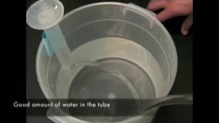 High School Nanoscience Program: Biotoxicity