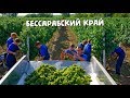 Welcome to Bessarabia. Красивый и удивительный Бессарабский край