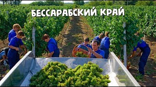 Welcome to Bessarabia. Красивый и удивительный Бессарабский край