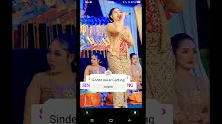 Sinden Sekar Gadung Selendang Biru artis duet nikensalindrycdanursari indosiar dangdut lucu