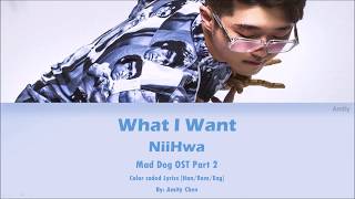 Video thumbnail of "NiiHWA (니화) - What I Want (Mad Dog OST Part 2) [Color Coded Han|Rom|Eng Lyrics]"