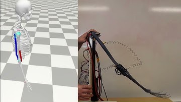 Delta Robotics Tech Demo Shortened