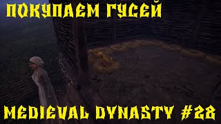 💥Medieval Dynasty - ПРОХОЖДЕНИЕ - ПОКУПАЕМ ГУСЕЙ # 28💥