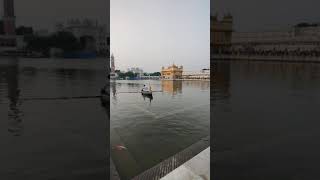 Golden temple#shorts #short #goldentemple#gurbani