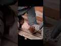 comodo ड्रैगन #shortvideo #fact #amazingfact #shan #shortsfeed #youtubeshorts #shanfact73