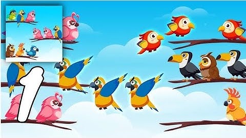 Best bird games for andriod offline 2022 Bird Color Sort Puzzle Games