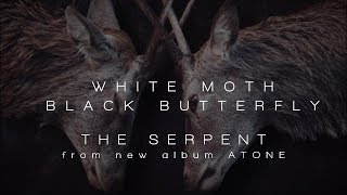 Video thumbnail of "White Moth Black Butterfly - The Serpent (from Atone)"