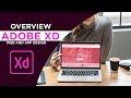 Overview of Adobe XD | adobe XD afsomali