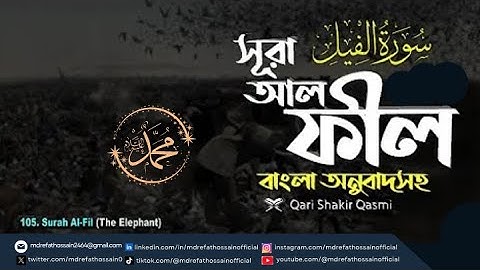 (105) সূরা আল্‌ ফীল سورة الفيل surah Al Fil | Quran Bengali Translation | Md Refat Hossain