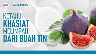 HERBAL TERMURAH BUAH TIN KERING 1 KG