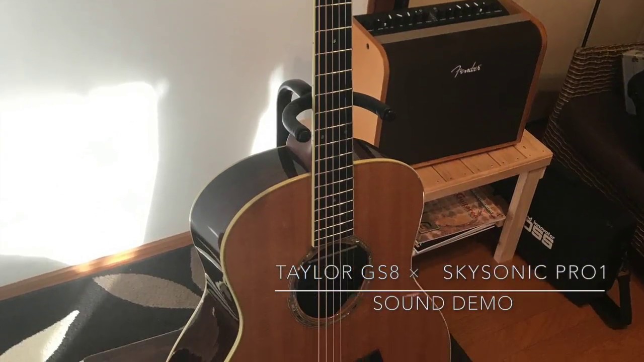 Taylor Gs8 TAYLOR GS8 ×SKYSONIC PRO1 SOUNDSUMPLE - YouTube