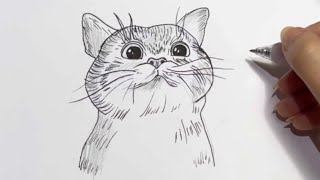 تعلم رسم القطة بالخطوات |رسم سهل وسريع