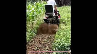 Farm Garden Mini Crawler Cultivator Factory Price Tractor#farming #factory #cultivator #tractor