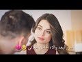 قولوا له مشتاق له حياتي قولوا له مشتاق له حياتي
