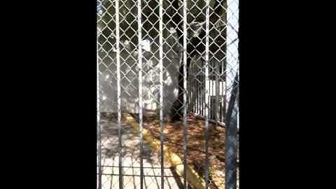 Performance Monitoring Installation